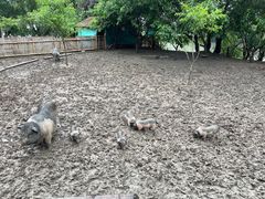-长兴太湖图影湿地文化园