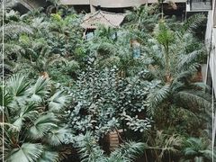 -黑龙江中医药大学附属第一医院