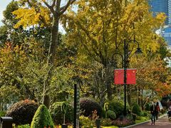 -北外滩滨江绿地