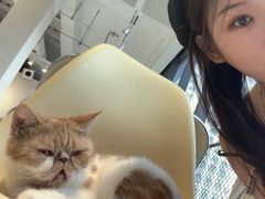 -怪兽屋·羊驼·猫咖·狗咖(俊华广场店)