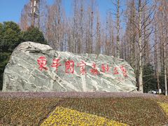 -东平国家森林公园