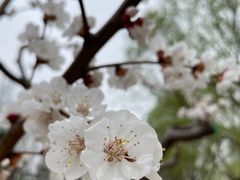 -元大都城垣遗址公园