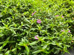 -重庆建川博物馆