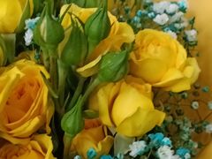 -循礼门鲜花花市(武汉循礼门店)