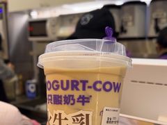 -一只酸奶牛(时代天街A馆店)
