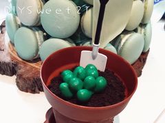 -DIY SWEET21(升平路店)