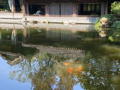 -乾园.魏庐湖景餐厅(花港店)