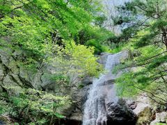 -王顺山国家森林公园