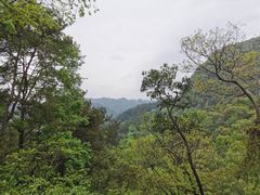 -黔灵山公园