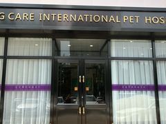 -宠爱国际动物医院· 猫科· 外科·中兽医(长白店)