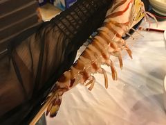 花竹虾-鲜入围煮花胶鸡海鲜火锅