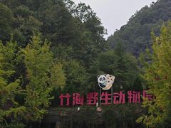 -栾川竹海野生动物园