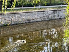 -元大都城垣遗址公园