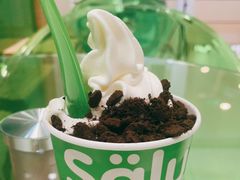 -Salud撒露欧洲冻酸奶(蓝色港湾店)