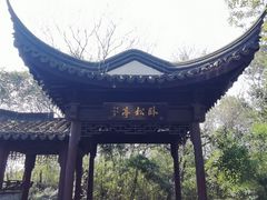 -上海佘山国家森林公园天马山园