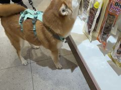 -FAELING PETS美天灵宠物(富力广场店)