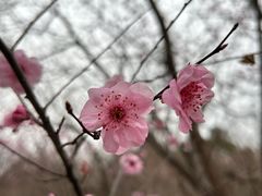 -南京市江宁方山