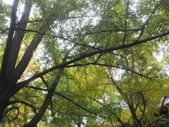 -四川大学(华西校区)