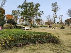 -府河摄影公园