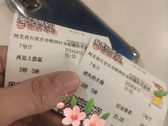 -金棕榈新百世纪影城