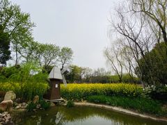 -圩墩遗址公园