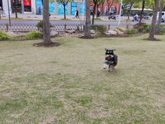 -美兰湖景区