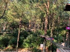 -梦幻奥陶纪景区