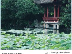 -西湖公园(鼓楼区)