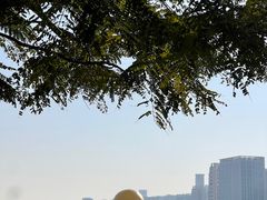 -深圳人才公园
