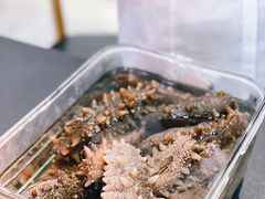 -棒棰岛辽参(长宁旗舰店)