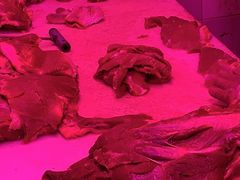 -无锡天鹏食品城