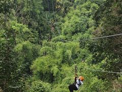 -清迈丛林飞跃 JungleFlight