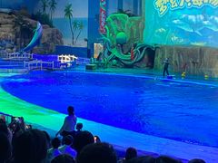 -华夏文旅海洋公园