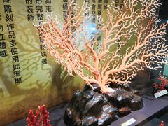 -东海珊瑚博物馆