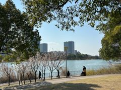 -美兰湖景区