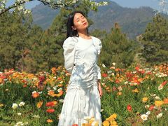 -名花谷生态庄园