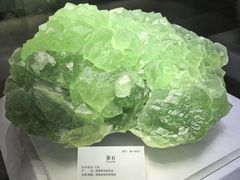 -湖南省地质博物馆