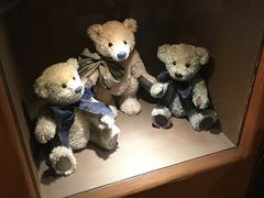 -济州岛泰迪熊博物馆