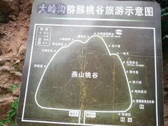-大岭沟猕猴桃谷风景区