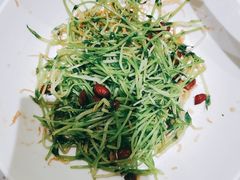 -青花椒花椒鱼(合生汇店)