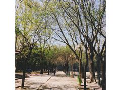 -第二外国语学院-韩国餐厅(朝阳路店)