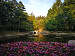 -庐山风景区花径公园