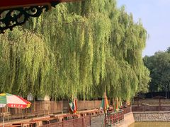 -尚庄度假村·庭台树下·户外烧烤·团建CS·轰趴营地(上庄水库店)