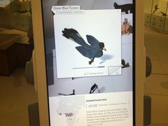 -墨尔本博物馆(Melbourne Museum)