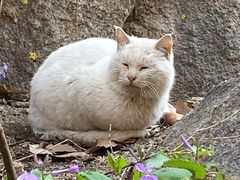 -天津盘山风景名胜区
