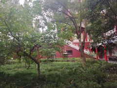 -开福禅寺