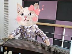 -琴芳艺所艺术培训.古筝钢琴