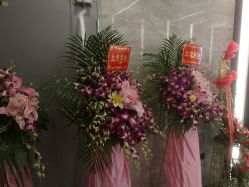 -芳朵美容养生SPA