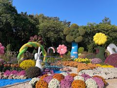 -上海共青森林公园