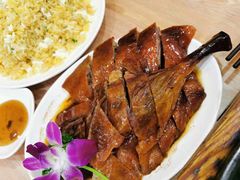 烤鹅（下庄）-香港深井掂檔烧鹅茶餐厅(海韵城店)